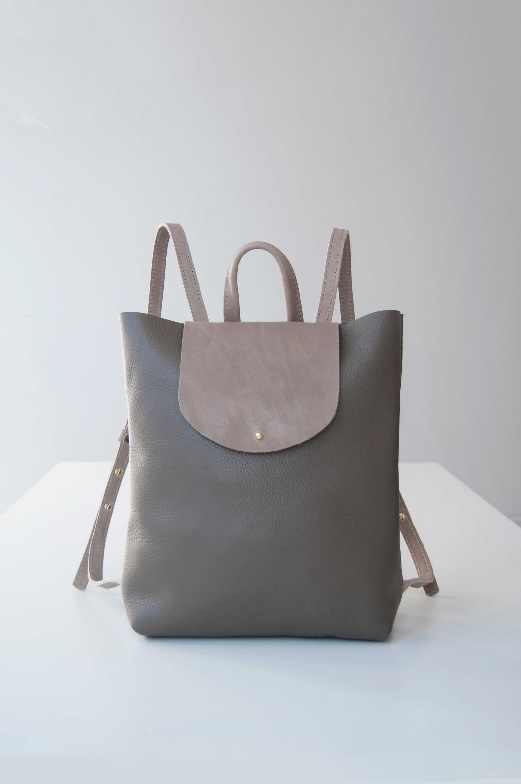 Front view of the Small Ray Backpack in taupe pebbled leather